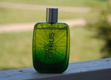 Bath-and-Body-Works-White-Citrus-Cologne-for-Men