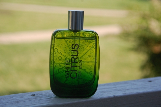Bath and Body Works White Citrus Cologne for Men Manlihood