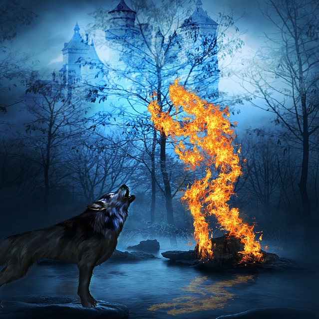 wolf-1961920_640