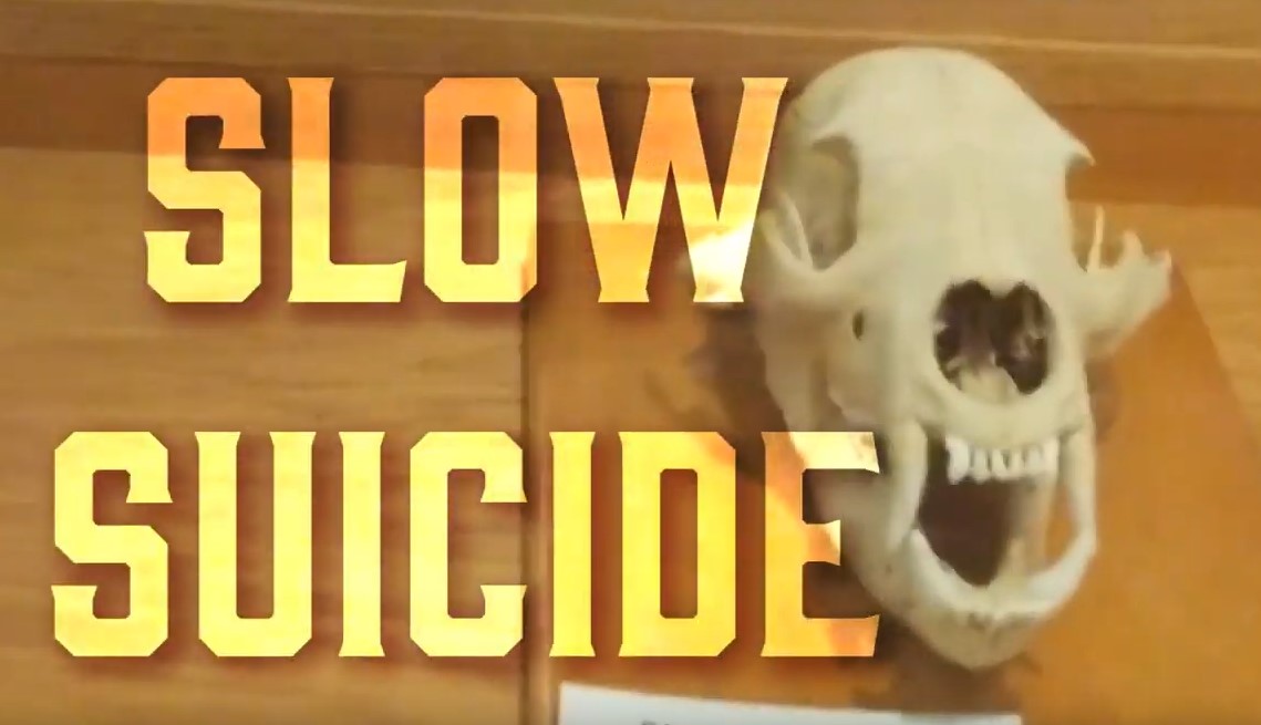 Slow Suicide - Personal Development For Men at Manlihood