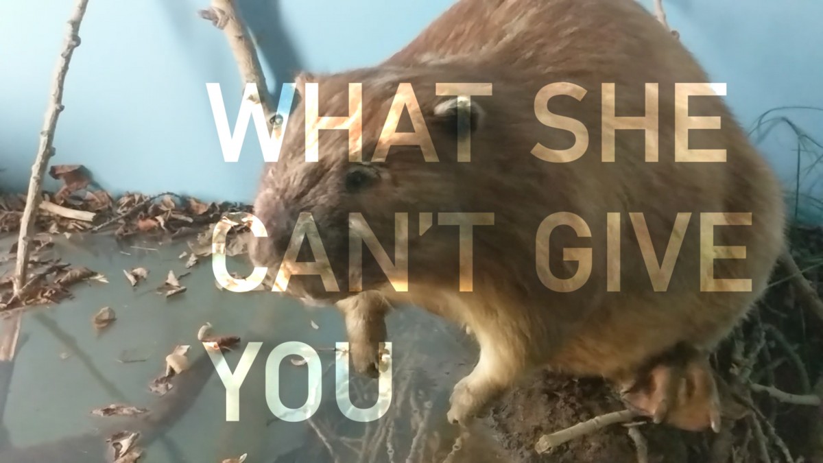 What She Can't Give You