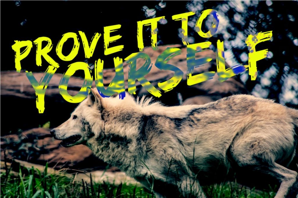 wolf - prove yourself - blog for men