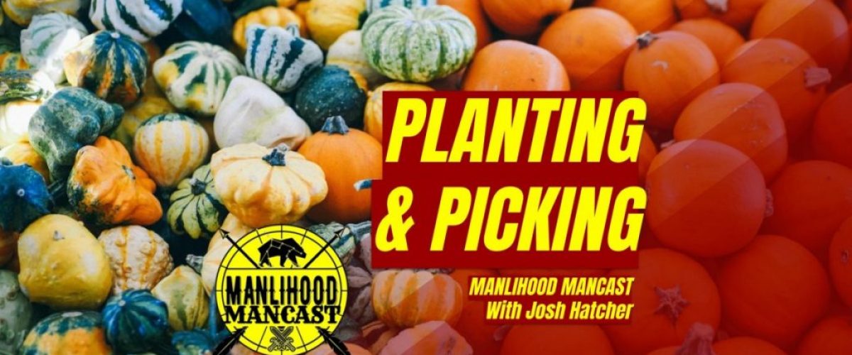law of the harvest - podcast for men