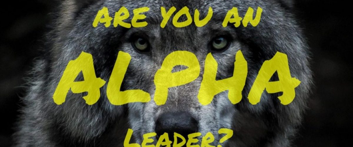 secrets of alpha leadership