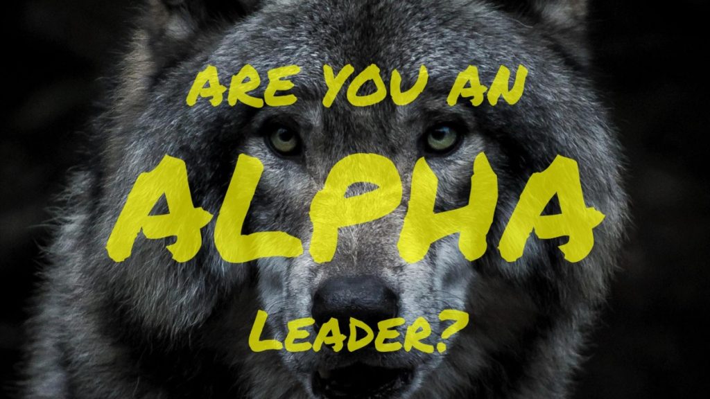 secrets of alpha leadership
