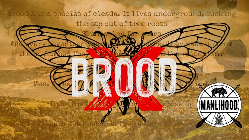 brood x - time for men to rise up