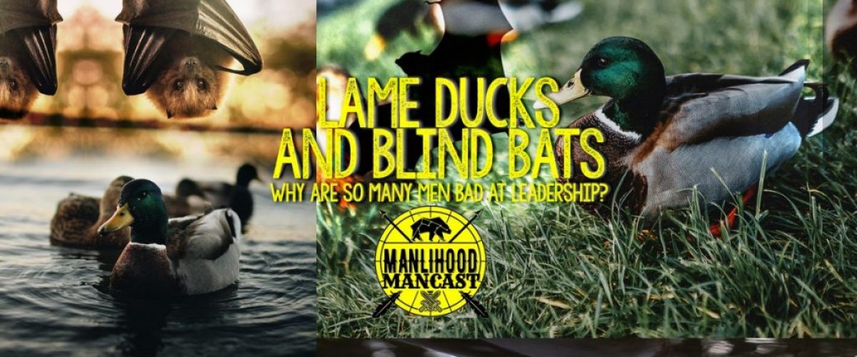 lame-ducks-and-blind-bats