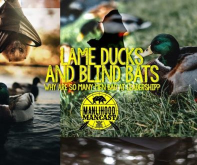 lame-ducks-and-blind-bats
