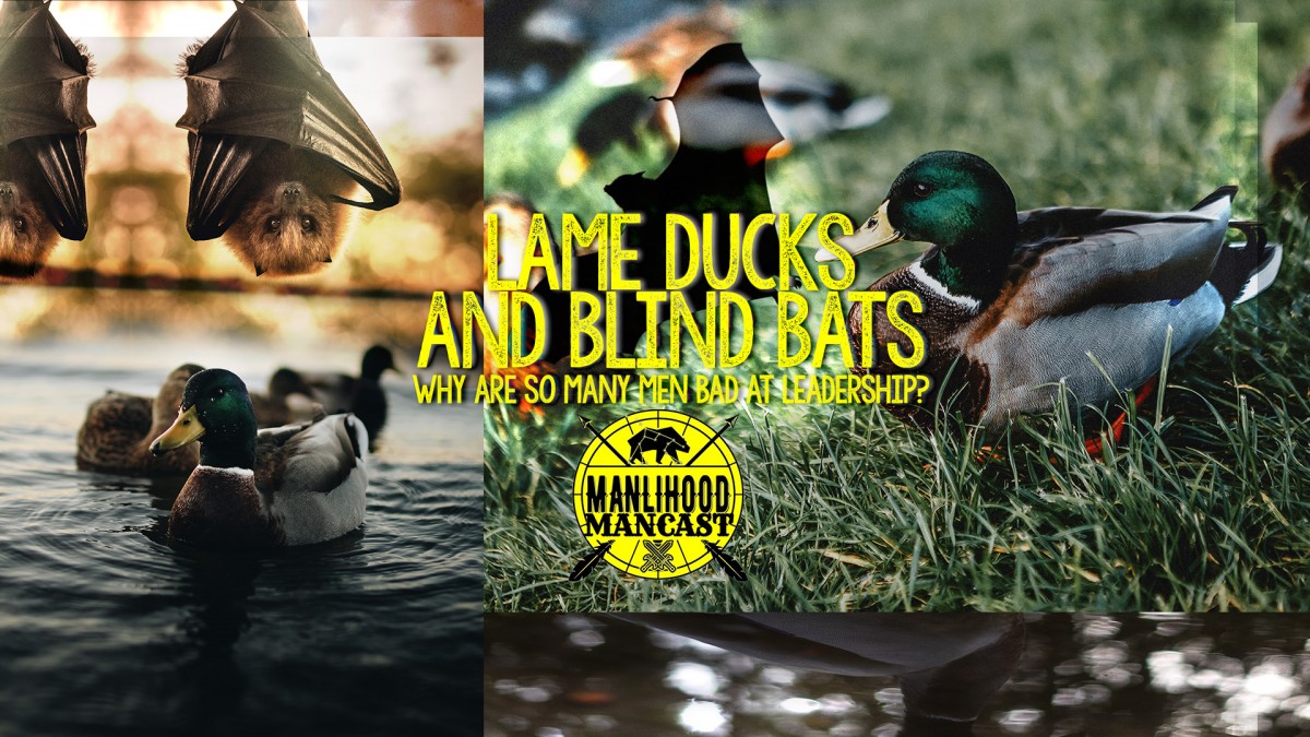 lame-ducks-and-blind-bats